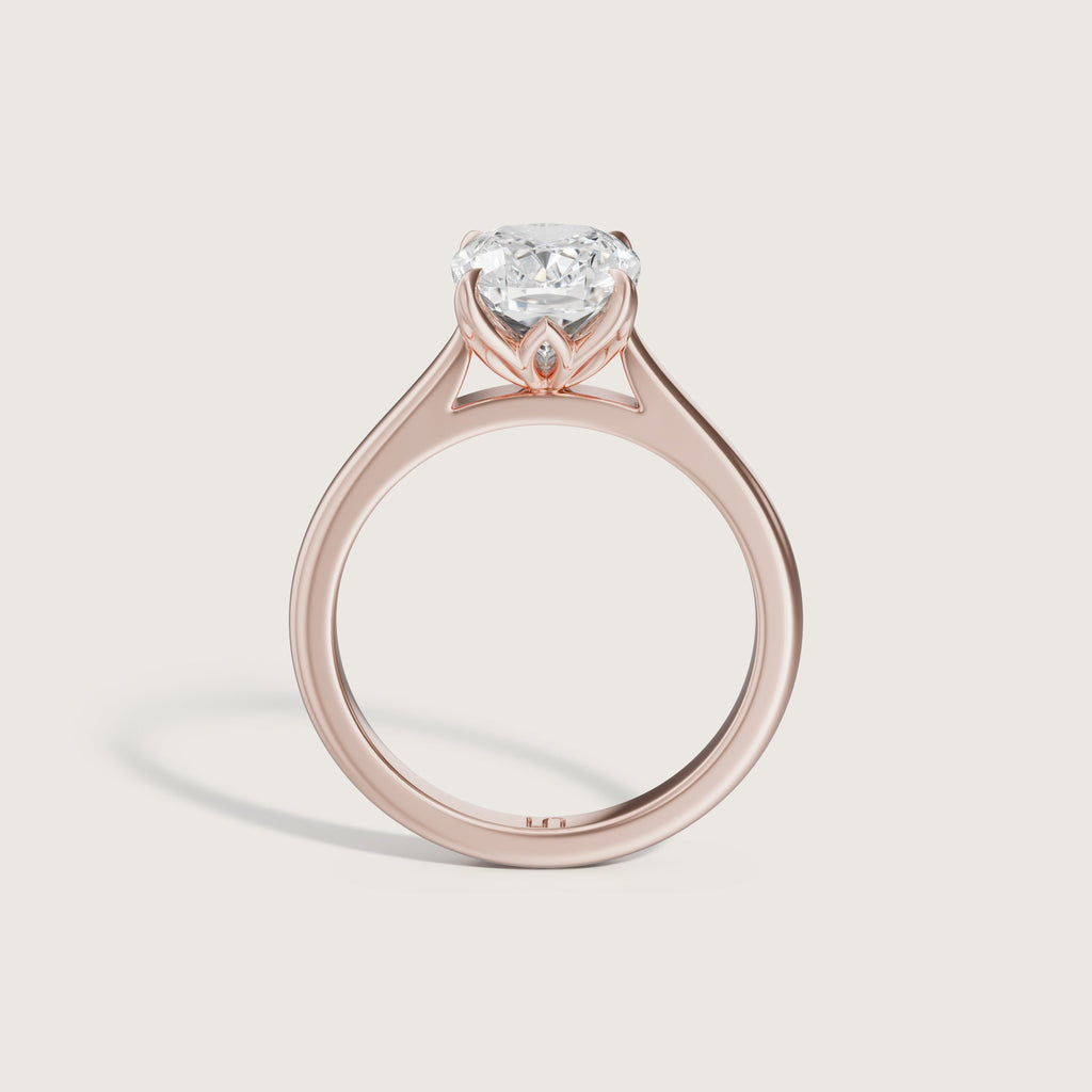 Bianca Cushion Solitaire - Hidden Halo