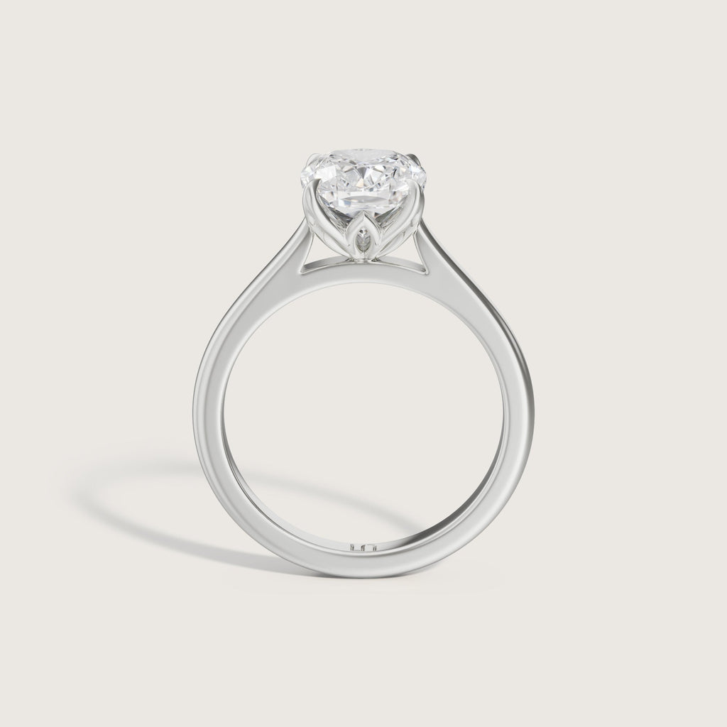 Bianca Cushion Solitaire - Hidden Halo