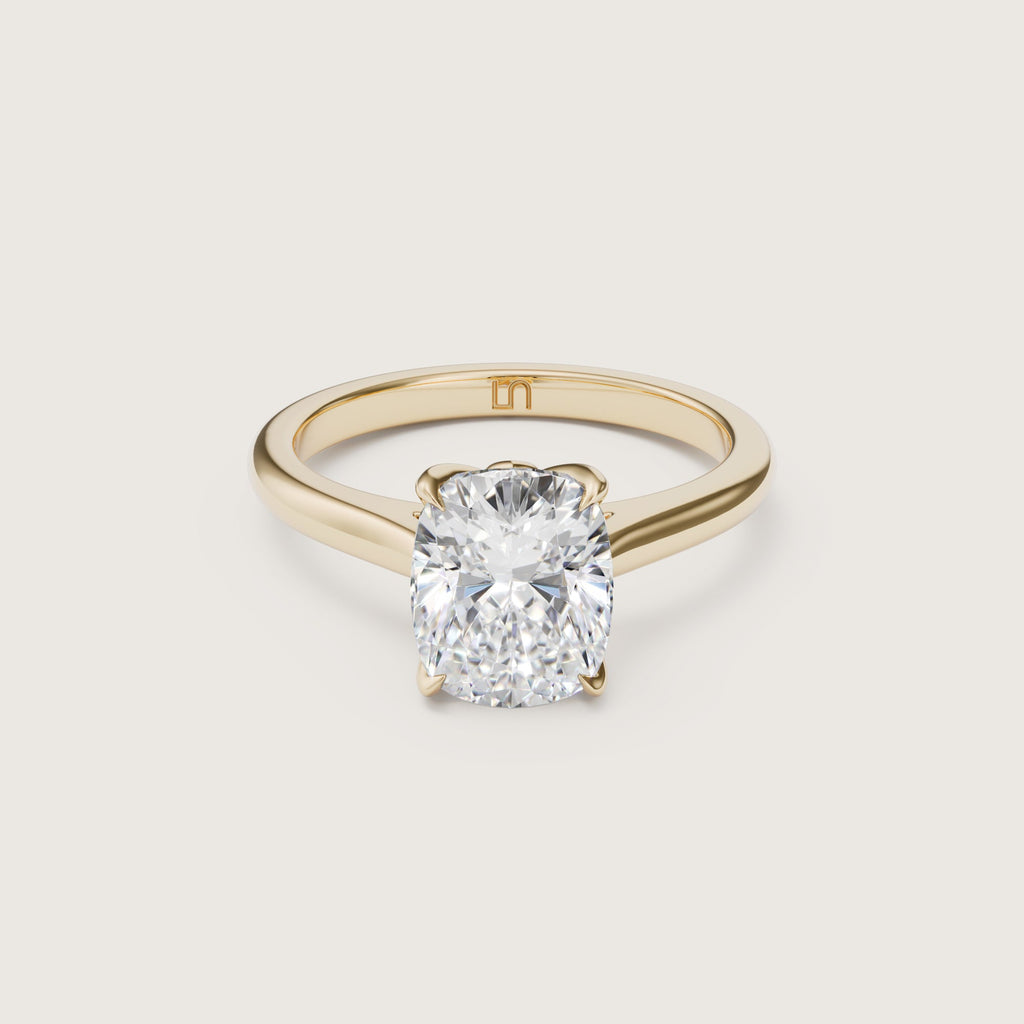 Bianca Cushion Solitaire - Hidden Halo