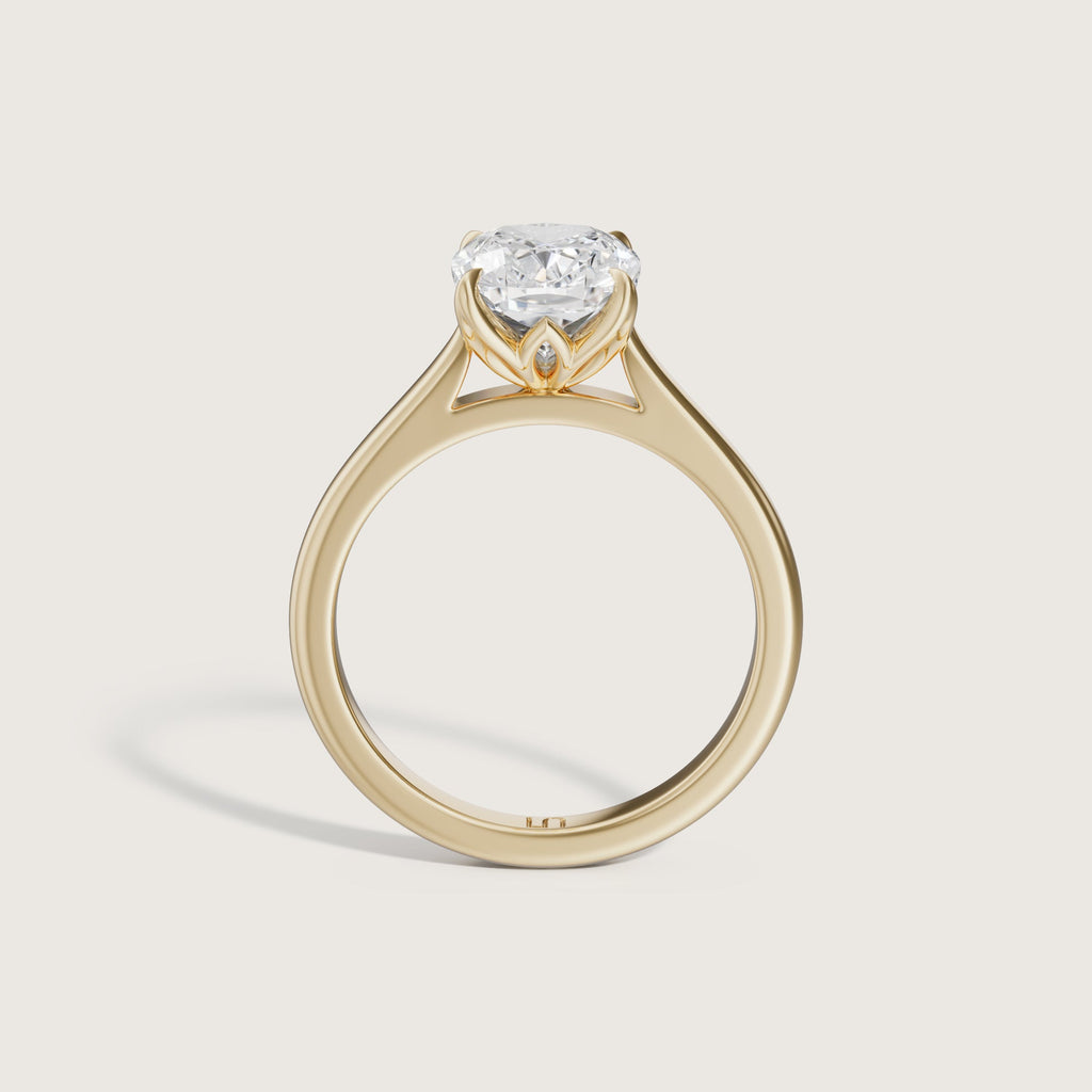 Bianca Cushion Solitaire - Hidden Halo