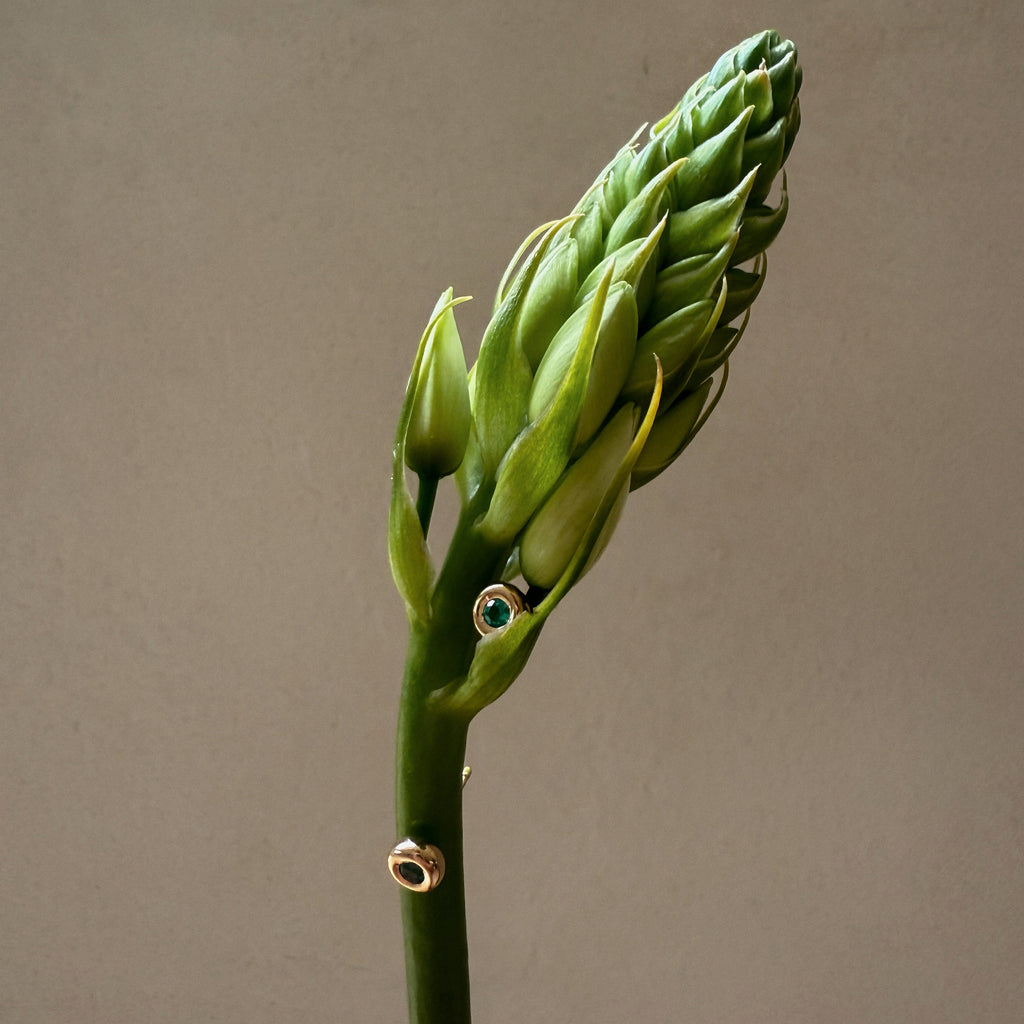 Forma_Green_Emerald_Earrings_Stud_Yellow_Gold